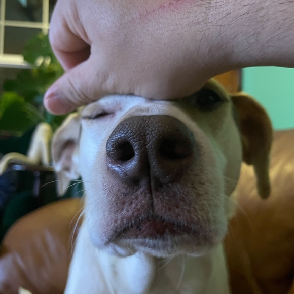 Meet your Posher, Valerie - Picture 3 of 3